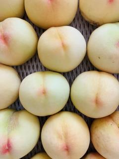 清水白桃が届きましたー♪