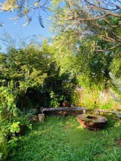 蝉の大合唱の収穫月ガーデン!