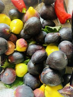 今朝、総社まで^_^!