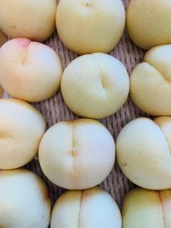 夏のフルーツから秋のフルーツへ