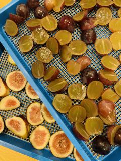 ドライのお仕事もコツコツと^_^!