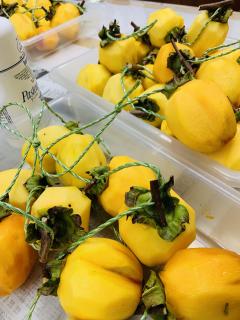 干し柿のカーテン作りに没頭〜笑笑