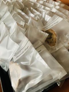 ラッピングが忙しい〜