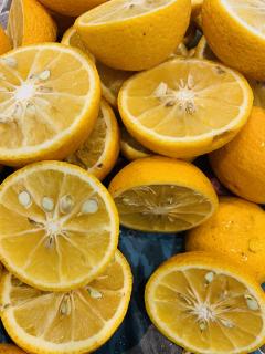 柑橘仕込みてんこ盛り！